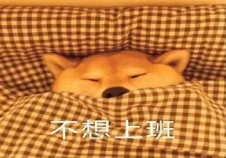 天冷不想上班的心情說說 天冷不想上班的心情句子