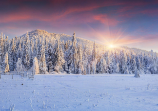關于下雪的朋友圈文案 適合下雪發朋友圈配圖文藝句子