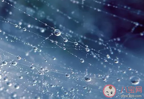 2020關(guān)于冬至發(fā)朋友圈祝福語(yǔ)大全 冬至微信問(wèn)候語(yǔ)暖心句子