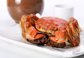 可選全母是什么意思 全母教微博里都有哪些人