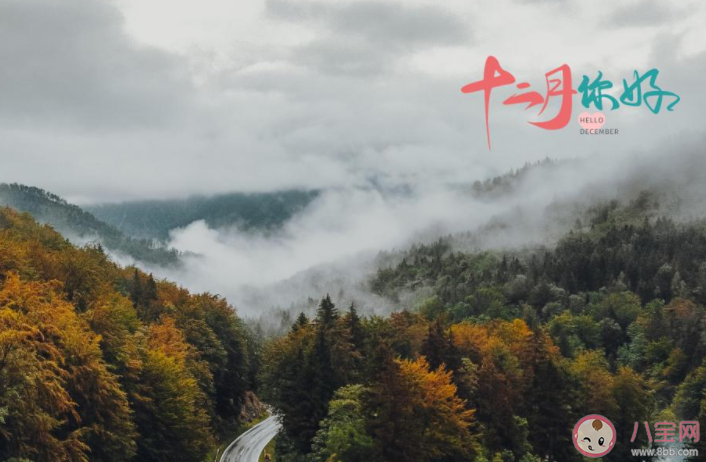 2020十二月你好圖片簡單一句話說說 2020十二月來了圖片簡短朋友圈 2020十二月你好圖片簡單一句話說說 2020十二月來了圖片簡短朋友圈