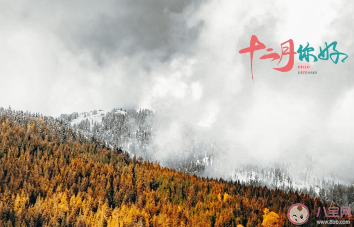 2020十二月你好圖片簡單一句話說說 2020十二月來了圖片簡短朋友圈 2020十二月你好圖片簡單一句話說說 2020十二月來了圖片簡短朋友圈