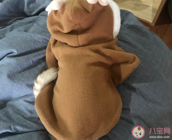 天冷了記得添衣服溫暖說說 天冷記得加衣搞笑句子 天冷了記得添衣服溫暖說說 天冷記得加衣搞笑句子