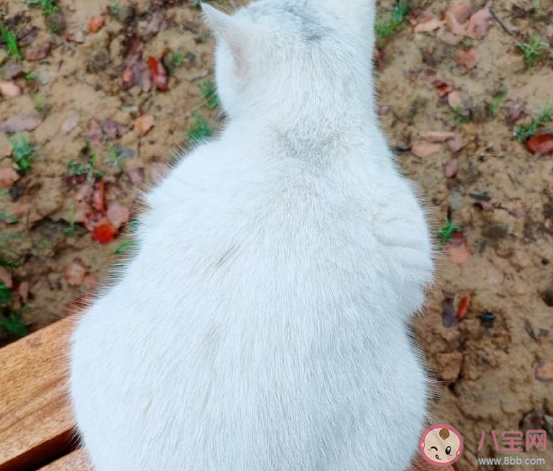 天冷了記得添衣服溫暖說說 天冷記得加衣搞笑句子 天冷了記得添衣服溫暖說說 天冷記得加衣搞笑句子