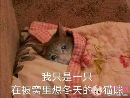 手腳冰涼發朋友圈說說配圖 手腳冰涼睡不暖的心情句子