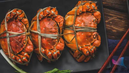 央視辟謠食物相克說法 關(guān)于食物有哪些謠言