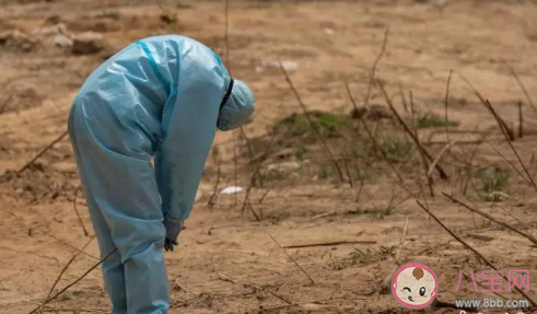 為什么牛津詞典首次不選年度詞匯 牛津詞典有多少單詞