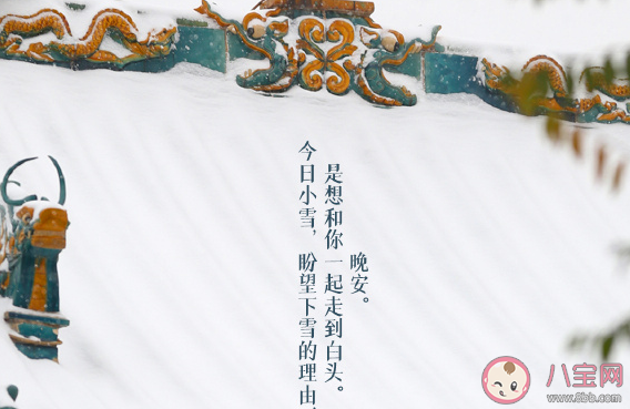 盼望下雪的心情說句子 期望快點下雪感言大全 盼望下雪的心情說句子 期望快點下雪感言大全