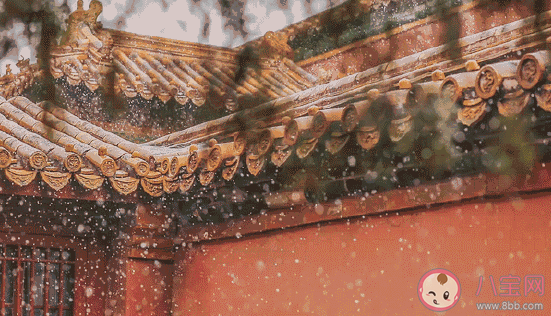 盼望下雪的心情說句子 期望快點下雪感言大全 盼望下雪的心情說句子 期望快點下雪感言大全