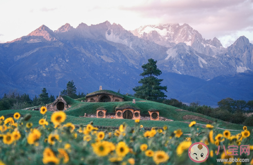 2020年就要過去了心情說說 結(jié)束2020迎接2021發(fā)朋友圈文案