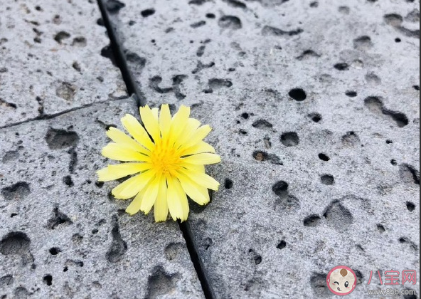 每天都下雨的微信說(shuō)說(shuō) 連續(xù)天天下雨心情說(shuō)說(shuō)