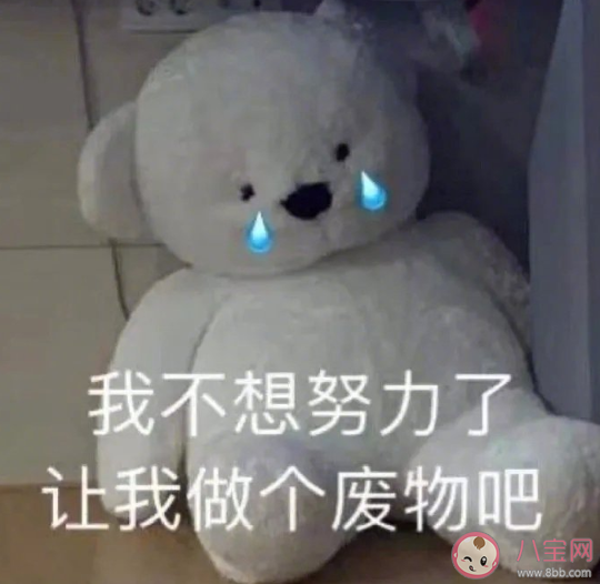 突然不想努力了說(shuō)說(shuō)句子 突然不想努力了簡(jiǎn)短心情文案