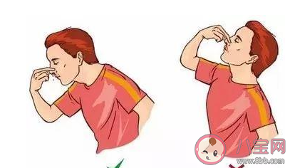 流鼻血時最好如何做以達到止血的目的 螞蟻莊園11月26日答案最新