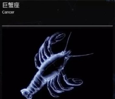 為什么說(shuō)巨蟹座是龍蝦座 巨蟹座是螃蟹還是小龍蝦 為什么說(shuō)巨蟹座是龍蝦座 巨蟹座是螃蟹還是小龍蝦