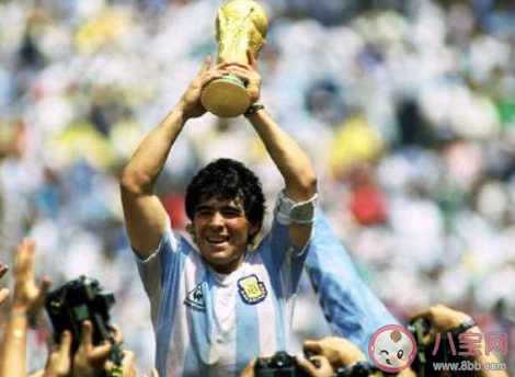 2020一頭一尾兩代人的記憶什么梗 2020帶走多少人的青春