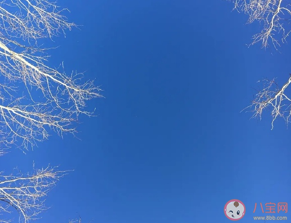 2021年新的一年你好說說 再見2020你好2020加油努力句子