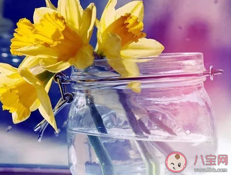 再見十一月的說說十二月你好浪漫句子 十二月終于來了心情感言文案