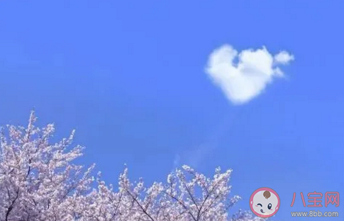 2020感恩節表達感謝經典語句合集 感恩節抖音火熱短語句子。八寶