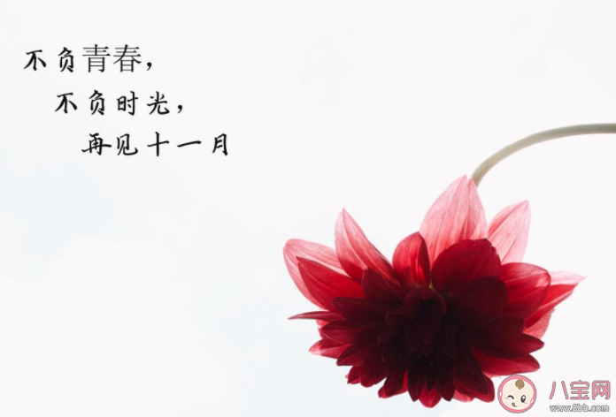 2020十一月再見十二月你好圖片說說 11月再見12月你好優美句子配圖