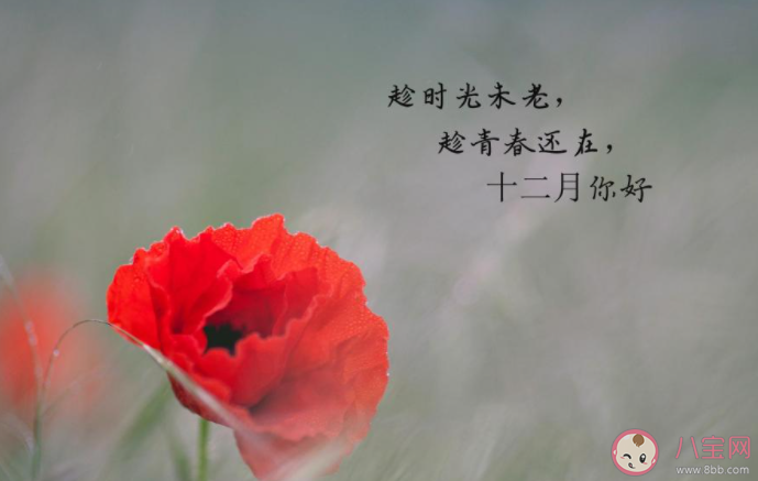 2020十一月再見十二月你好圖片說說 11月再見12月你好優美句子配圖