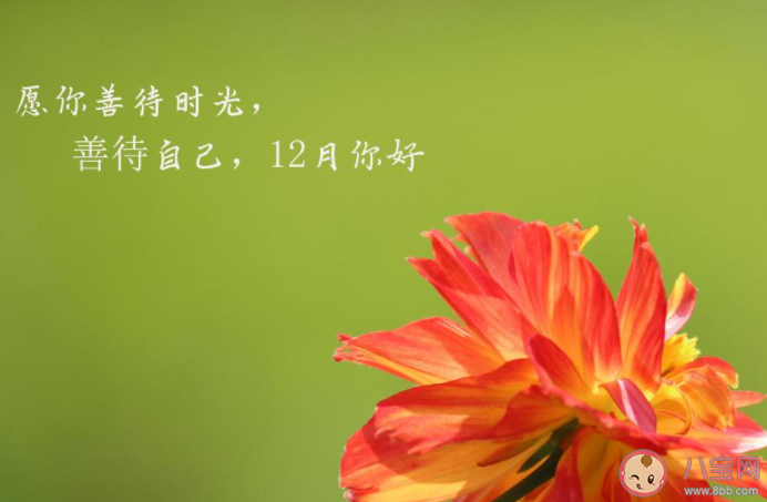 2020十一月再見十二月你好圖片說說 11月再見12月你好優美句子配圖