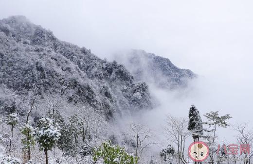 2020冬天第一場大雪心情說說 看到冬天第一場大雪文案句子 2020冬天第一場大雪心情說說 看到冬天第一場大雪文案句子