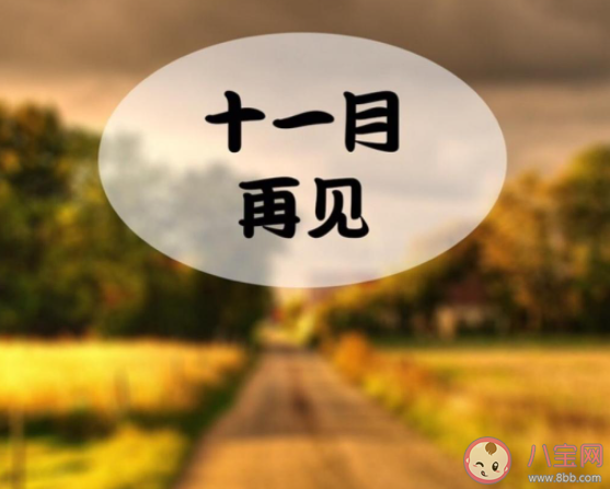 11月最后一天的心情句子配文 11月最后一天感言說說文字