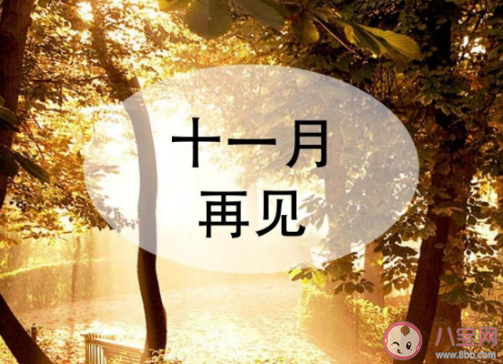 11月最后一天的心情句子配文 11月最后一天感言說說文字