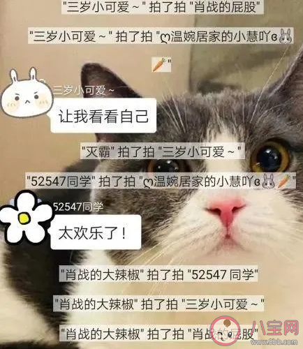 微信上面的拍一拍長恨歌后綴怎么設(shè)置 長恨歌拍一拍設(shè)置方法分享