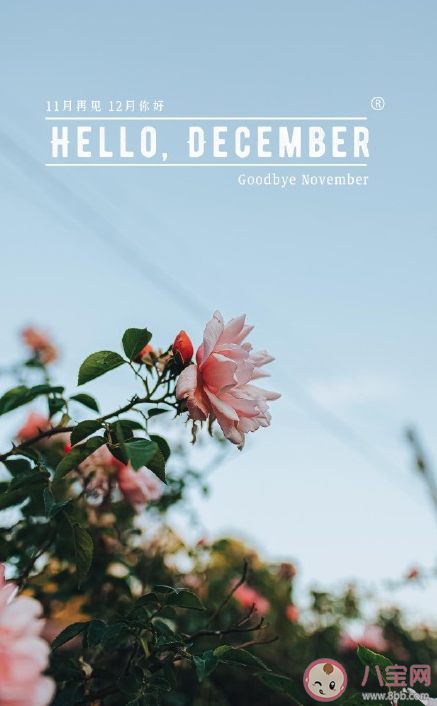 2020十一月再見十二月你好心情說說 十一月再見十二月你好說說配圖