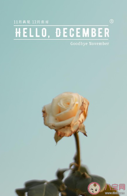 2020十一月再見十二月你好心情說說 十一月再見十二月你好說說配圖