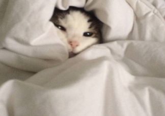 冬天躺在被窩里發(fā)朋友圈說(shuō)說(shuō) 冬天離不開(kāi)被窩搞笑句子