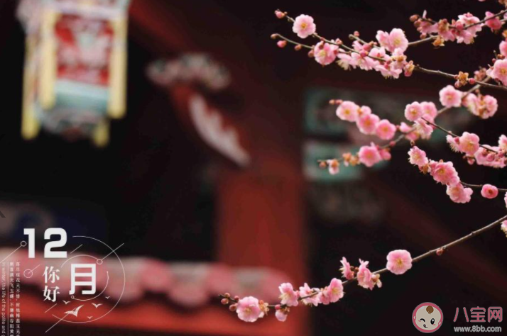 12月你好簡單一句話的朋友圈說說 12月你好的簡短心情說說大全