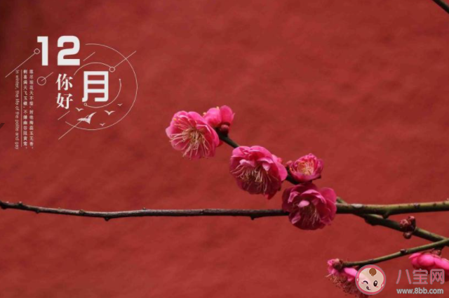 12月你好簡單一句話的朋友圈說說 12月你好的簡短心情說說大全