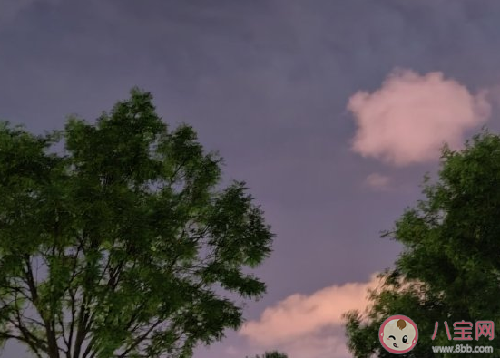 2020最后一個月十二月加油說說 11月再見十二月你好最新經典文案