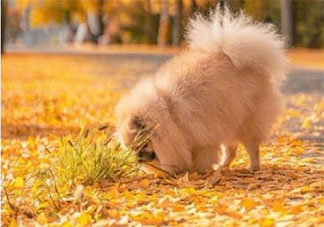 一鳴驚人的旅游文案有哪些 一鳴驚人的旅游文案寶藏句子