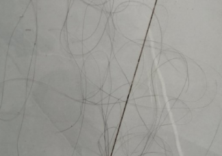 人到中年脫發嚴重心情說說  調侃脫發搞笑句子大全