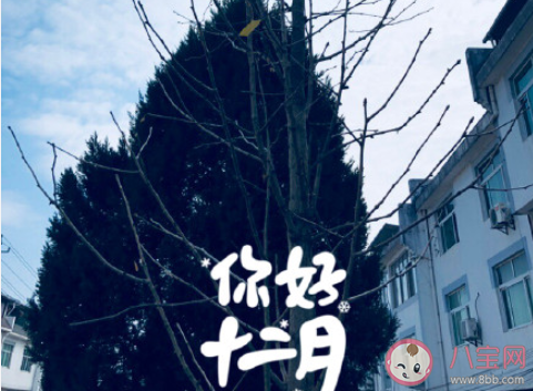 2020最后1個月的朋友圈文案說說 2020最后1個月發(fā)朋友圈感受句子