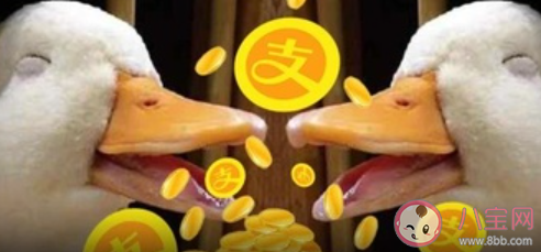 年輕人深陷消費貸花唄該背鍋嗎 深陷網(wǎng)貸花唄有責(zé)任嗎