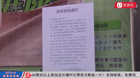 青島一小區全面禁養寵物怎么回事 你支持這個做法嗎