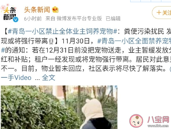 小區(qū)全面禁養(yǎng)寵物合理嗎 小區(qū)哪些狗不能養(yǎng)