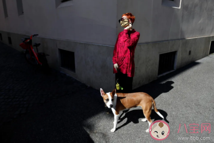 小區(qū)全面禁養(yǎng)寵物合理嗎 小區(qū)哪些狗不能養(yǎng)