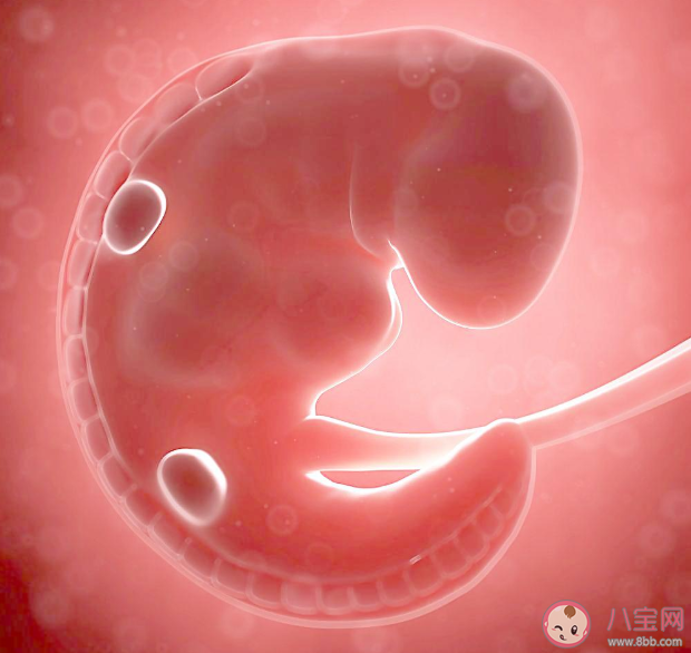 轉胎丸是什么 轉胎丸有什么危害