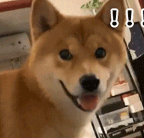 用飯圈語言和爸媽講話是怎樣的 飯圈語言和父母的對話