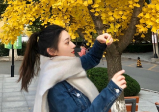 冬天的第一條圍巾朋友圈文案 冬天的第一條圍巾溫暖語錄