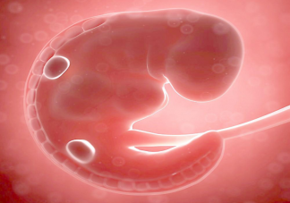 轉胎丸是什么 轉胎丸有什么危害