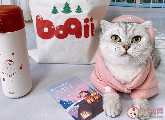 買到可愛的東西怎么發(fā)朋友圈 買到可愛的東西心情感言句子