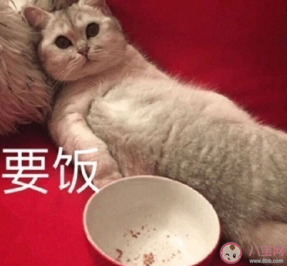 工作不好找發朋友圈說說 找工作難的心情感慨句子