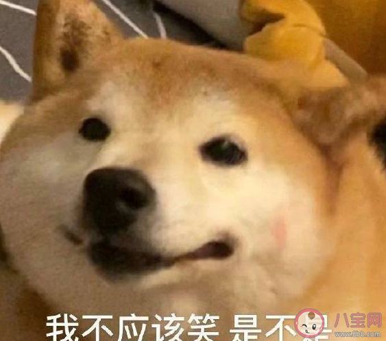 工作不好找發朋友圈說說 找工作難的心情感慨句子