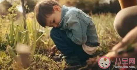 為什么中國父母總喜歡打擊式教育 打壓式教育真的好嗎